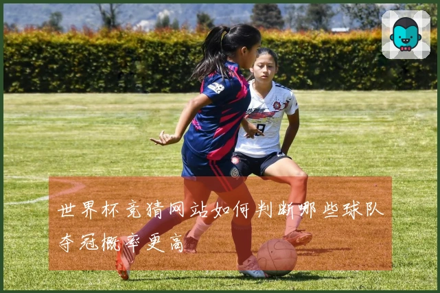 世界杯竞猜网站如何判断哪些球队夺冠概率更高
