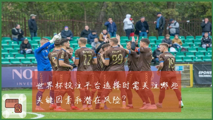 世界杯投注平台选择时需关注哪些关键因素和潜在风险？