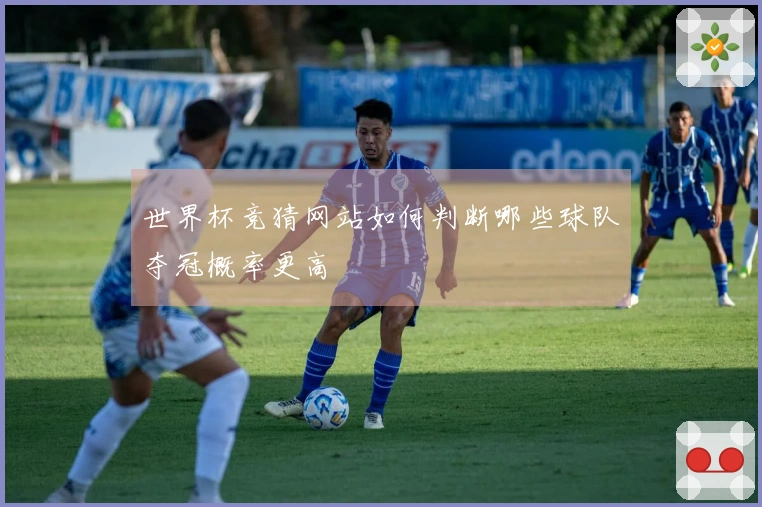 世界杯竞猜网站如何判断哪些球队夺冠概率更高