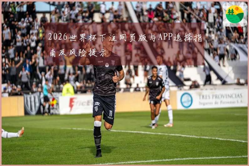 2026世界杯下注网页版与APP选择指南及风险提示
